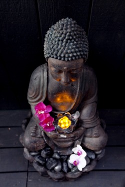 effervescentvibes:  buddhabe:  Buddha    good vibrations here