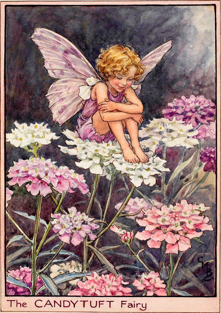 art-from-me-to-you:Cicely Mary Barker, Fairies of the Garden