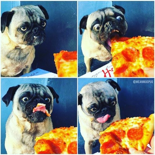 XXX Ahhhhhhhh I love pizzzzza! Happppy Monday photo