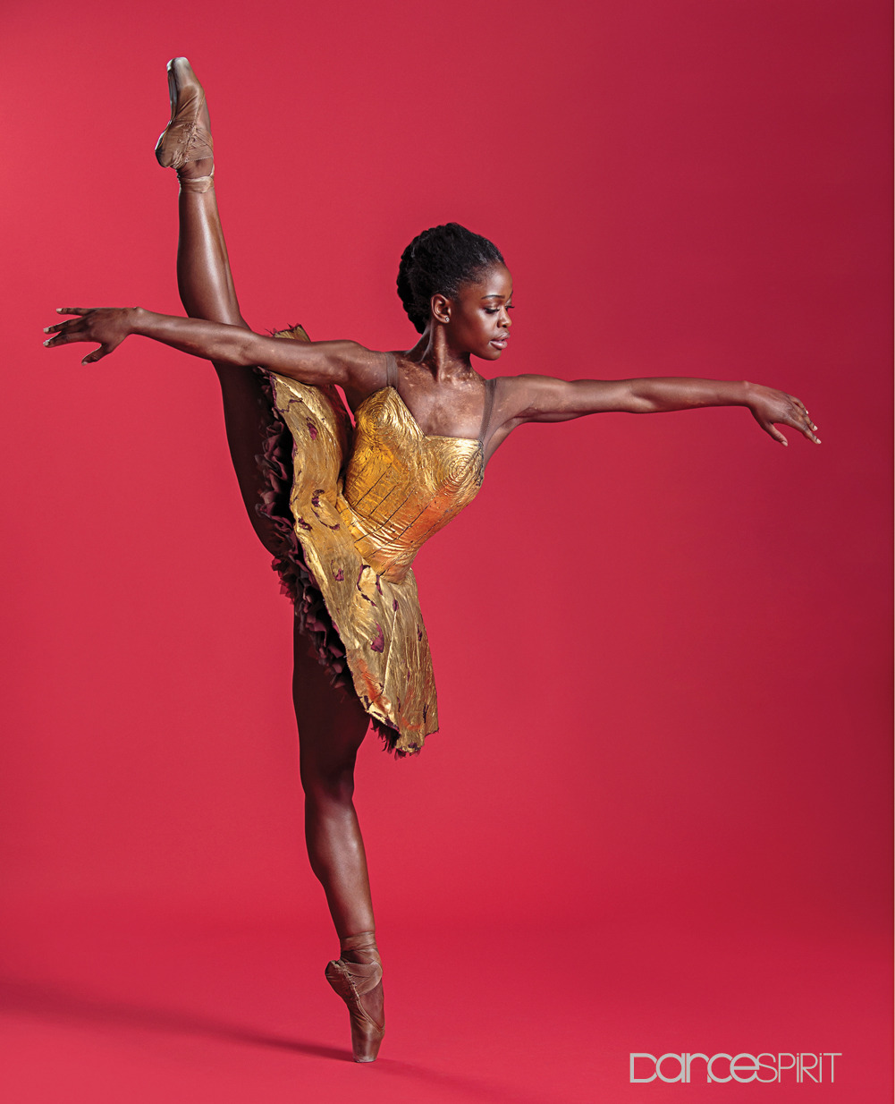 destinyrush:    Michaela DePrince is a Sierra Leonean-American ballet dancer.  
