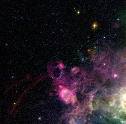 cosmicvastness:    LMC Region near the Tarantula