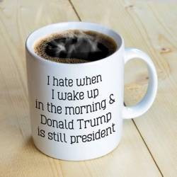 The alternative is Mike Pence and then Paul Ryan if Pence is removed too so just count your lucky stars that someone as incompetent as The Donald is their leader. 