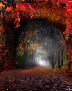 haughtyspirit:  crescentmoon06:  Igor Zenin