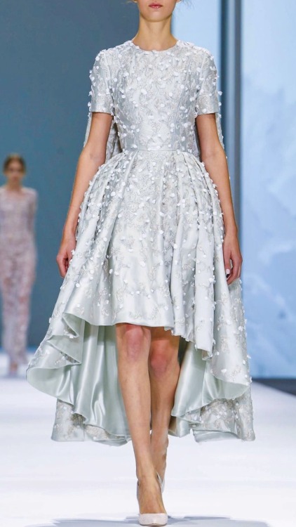 Ralph &amp; Russo | Spring/Summer 2015 Couture