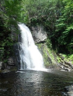 kyladanica:  Nature TrailsSun pierces through