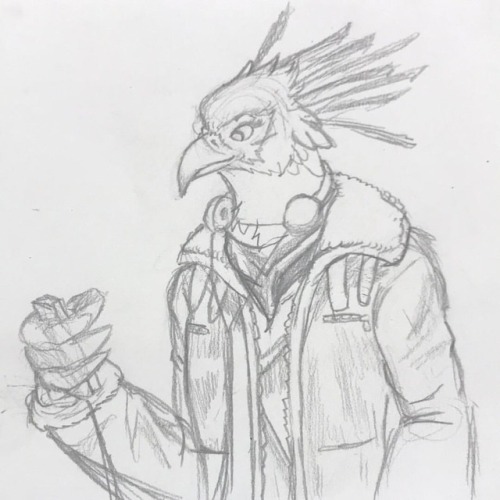 Drew My Aarakocra boy Zeke but in a modern outfit, there’s a flight jacket in Fallout 4 that I