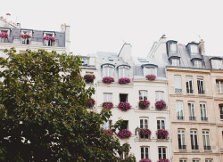 lafleurdesmurailles:  Vive Paris by Carrie WishWishWish on Flickr.  x