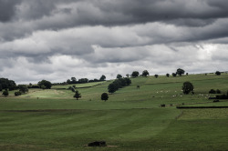 jordiversteege:  From the car, on the way