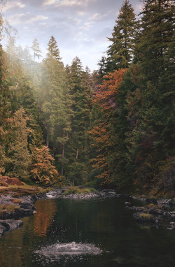 quinnmchugh:Happy Autumn fellow Oregonians.