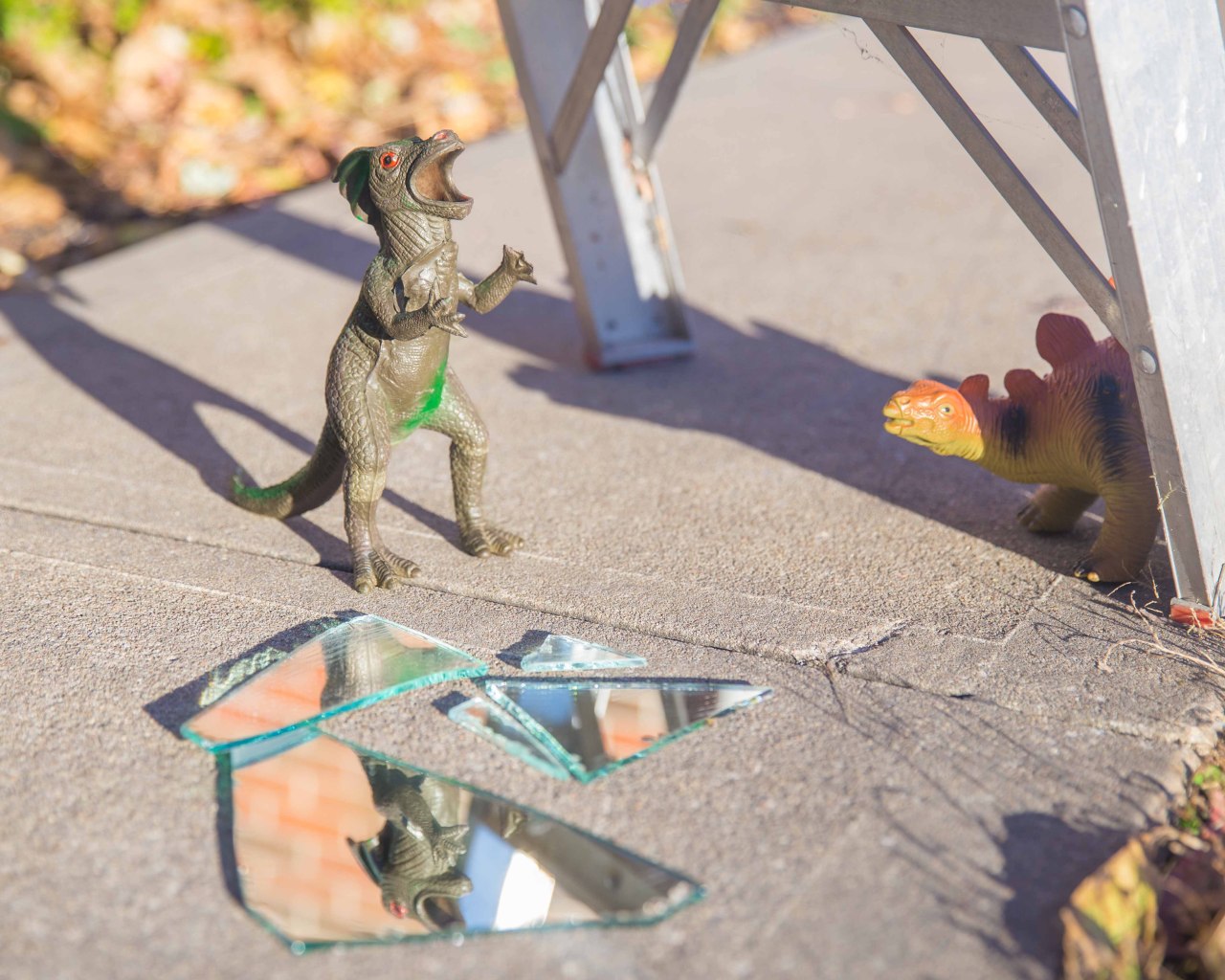 That moment when you realize you just broke a mirror underneath a ladder while standing on a crack as your neighbor’s black cat crossed your path on Friday the 13th.
(Yes, we’re more than two weeks behind on #Dinovember photos here on the Tumblr—for...