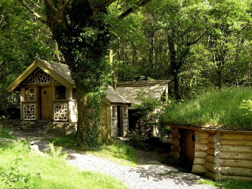 the-last-hair-bender:voiceofnature:The beautiful Cae Mabon in north Wales looks like a real fairytal