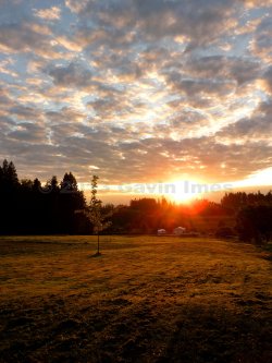 gavinimesphotography:  Glowing Sunset