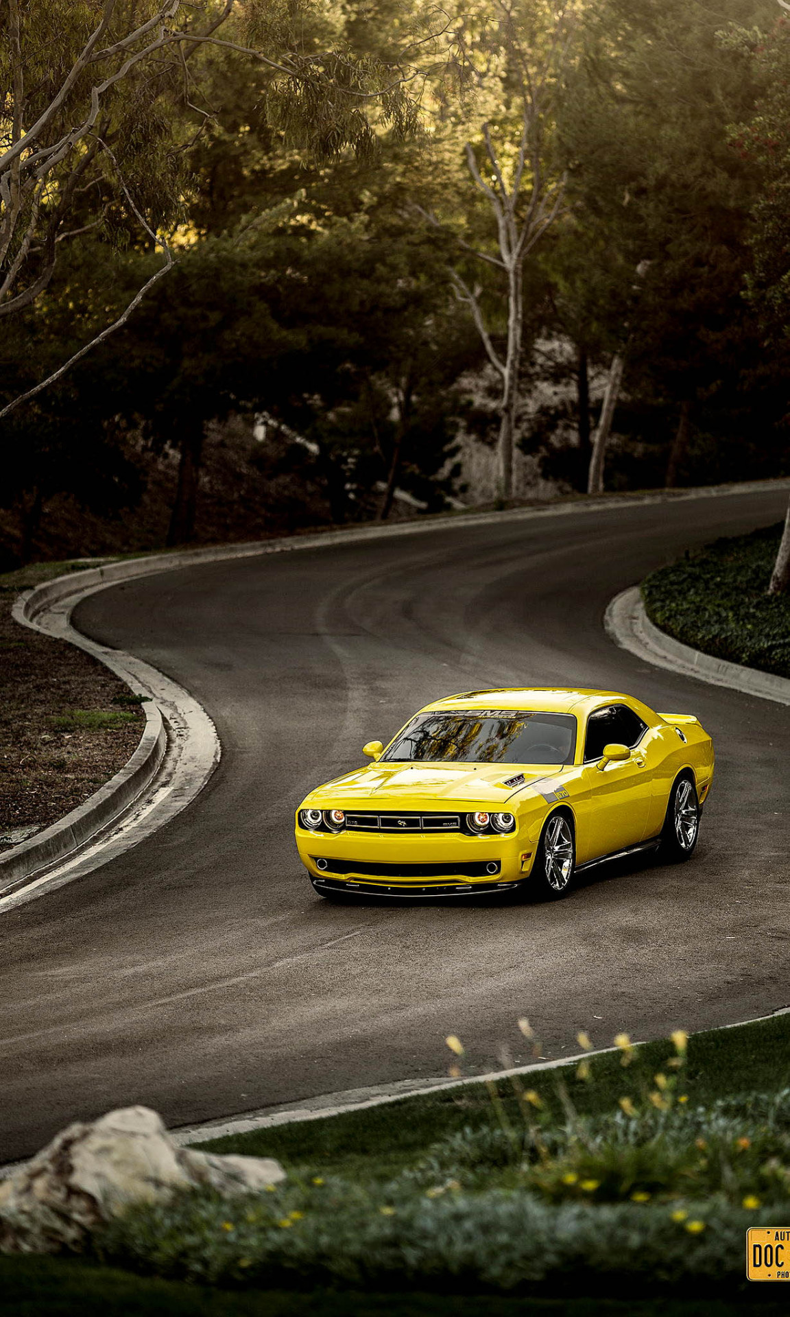 h-o-t-cars:    Dodge Challenger Saleen 570  