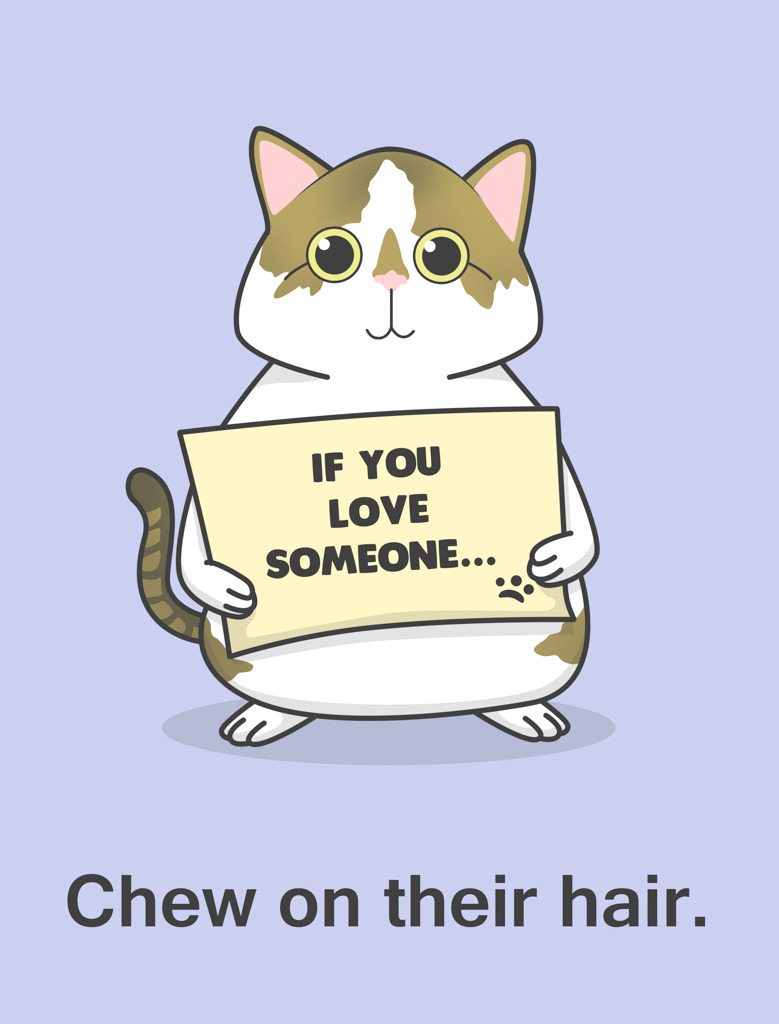 aimeetrawick:  Hoppy Cat shares advice on showing affection!  