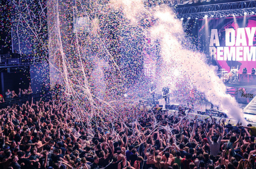 beautifulbandmembers:  A Day To Remember on Flickr. 