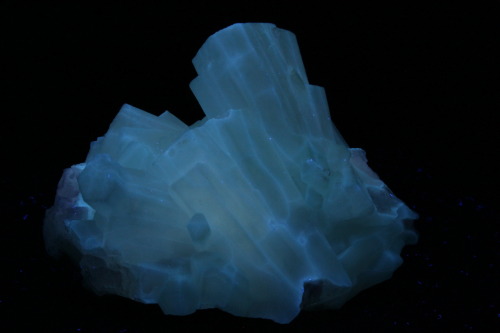 ifuckingloveminerals:  Chalcedony (WL, LW, SW, WL, SW)Mexico