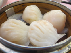 timothydelaghetto:  pizzayeezus:  Dim sum