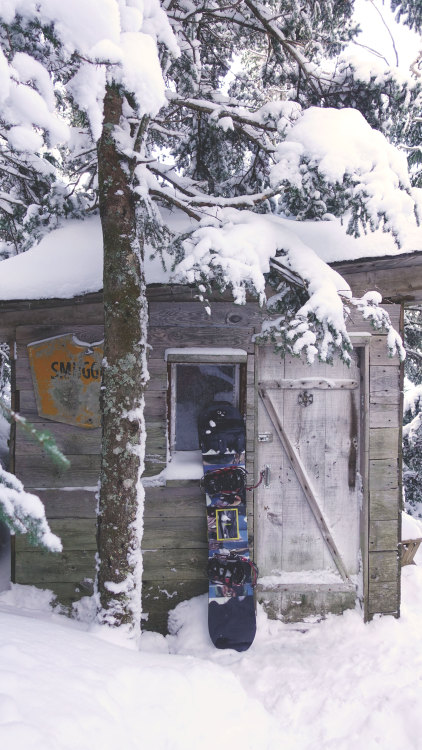 Hidden cabin at Stowe, VT