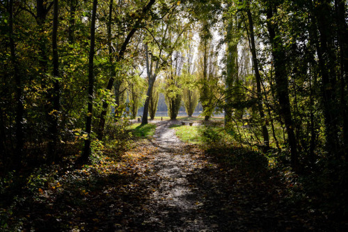 Automne au Parc de Sceaux