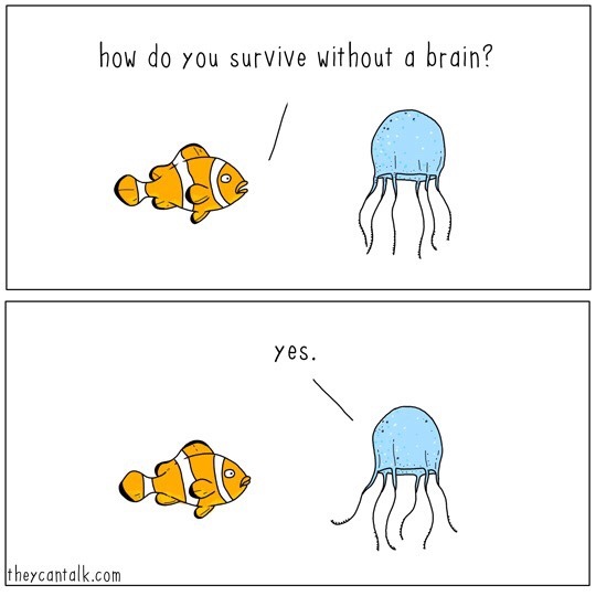 theycantalk:  jellyfish   porn pictures