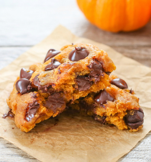 dustjacketattic:  Microwave Pumpkin Chocolate Chip Cookie