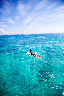 ambermozo:  Moorea, Tahiti. 