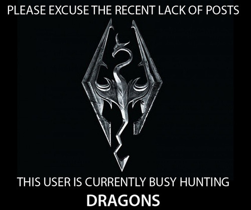&hellip;seriously tho, me and Kaira are on a small break. No Skyrim, no no no 
