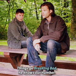 saltnburned:  Dean’s meta references - 9x02 