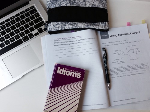 Polishing Up Essay Writing Skills