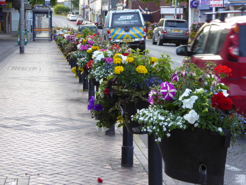 July 27th - Brownhills High Street.
Next time you hear someone dismiss this place as a dump, a ghost town or worse, think of this.
Local traders have worked hard - with the Town Centre Partnership - to create the wonderful flower displays we have....