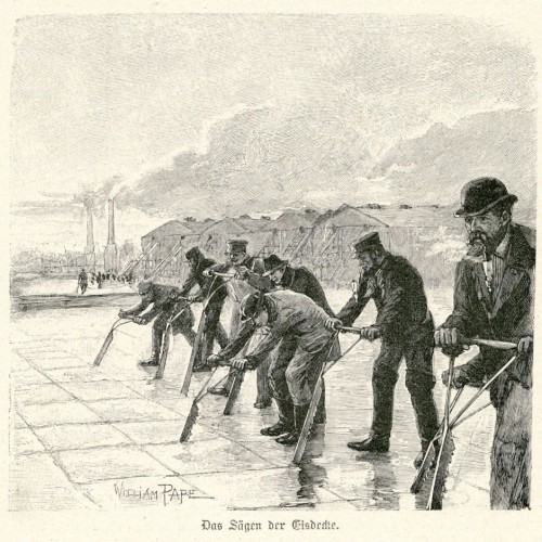 William Pape, illustration Cutting the ice sheet, 1890. Wood cut. From: Eiswerk Alt Geltow, Natureis