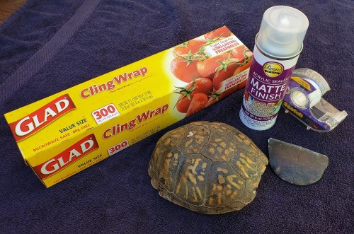 A little how-to on shining up this turtle shell! I used tape and plastic wrap to cover the bone area