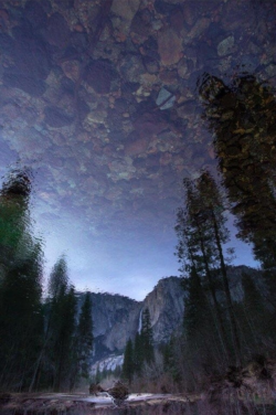 #reflection #pebbles #scenery #trees #water