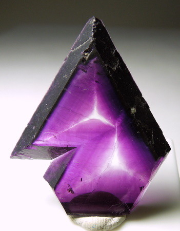 mineralists:  Purple zoned Fluorite slice adult photos