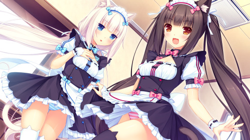 dailyzettairyouiki:  (NEKOPARA Official Art) by Sayori(Panchira Request 7 of 10)