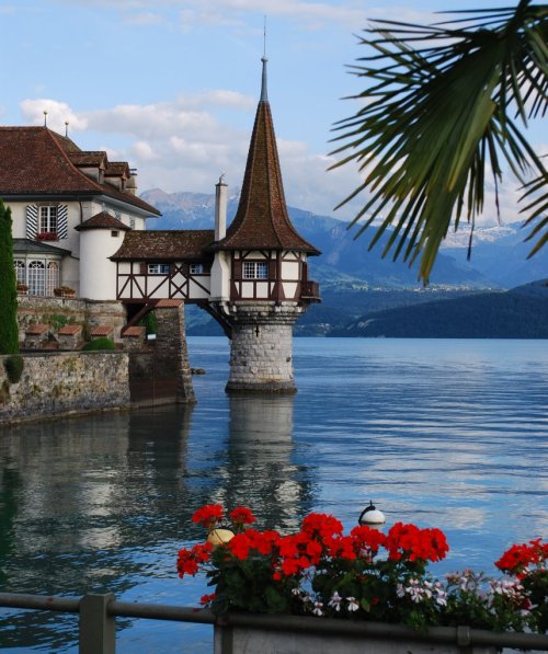 Oberhofen Castle on Lake Thun / Switzerland (by kurt.fotosuisse).