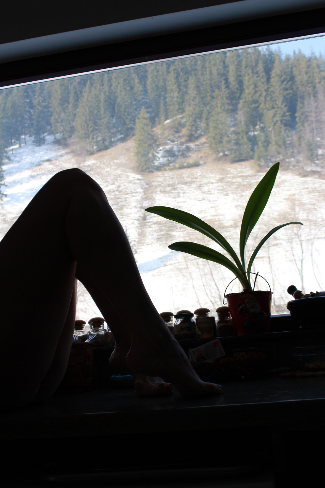 beingmemm:  …..transilvanycum winter morning ………  Good morning !!!!!!!!!!!!!!!!!!
