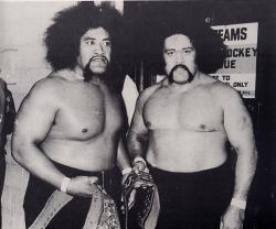 fishbulbsuplex:  The Wild Samoans  Legends