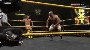 Adrian Neville vs Antonio Cesaro on NXT!  adult photos