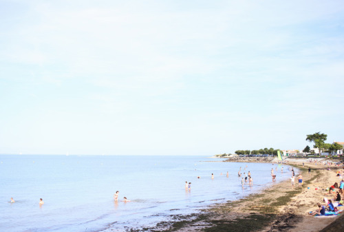 melodyandviolence:    A Trip To Ile de Ré by   Christine Kim  