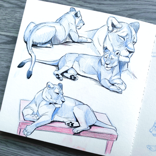 My Sketchbooks Have Been Really Ignored Lately So I Did Some Livecam Sketching