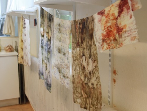 The summer is here and I take a summer course in experimental natural dyeing at Stenebyskolan. Some 