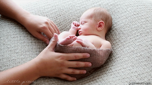 gaj0romar1ogifs:  THAT’S SO FUCKING CUTE …. 