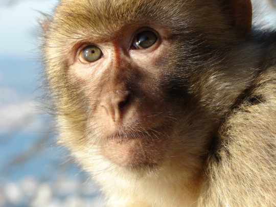 Original Oddities. #explore #photography #travel #animals #original oddities
