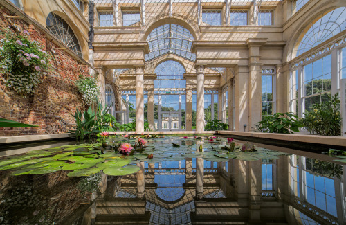 floralls:The Great Conservatory, Syon Park ,London, England  (by Nomadic Vision Photography)
