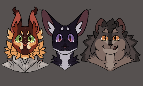 And What If I Told You I Convinced My Dm To Let Me Make The Into The Wild Trio Into D&d Npcs