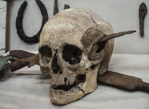 vulture-kitty:ofools:argumate:museum-of-artifacts:Skull of a Roman soldier who died during the Galli
