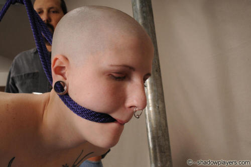 bondage-ponygirls-and-more: What goes better with a huge septum ring than a shaved head? (Ivy Thornt