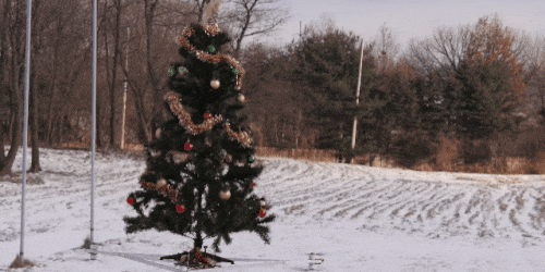 Happy holidays from your friends at PM!