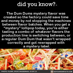 did-you-kno:  The Dum Dums mystery flavor was  created so the factory could save time  and money by not stopping the machines  between flavor batches. When you get a  “mystery” lollipop today, you’re either  tasting a combo of whatever flavors the